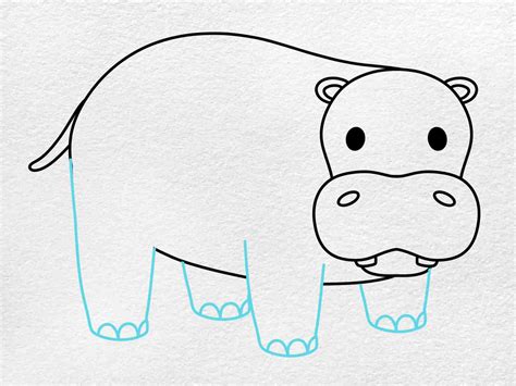 Drawing Of A Hippo