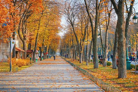 Autumn Scenery Of Kharkov Ukraine Picture And HD Photos | Free Download On Lovepik