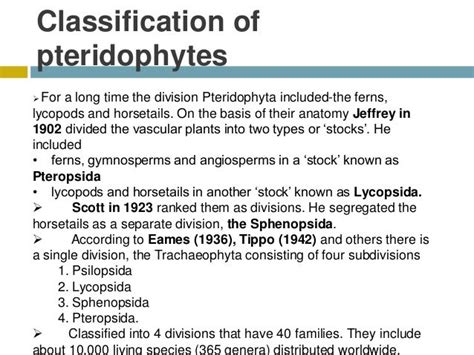 Classification of pteridophyta