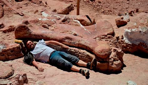 New Huge Titanosaur Fossils Discovered in Argentina