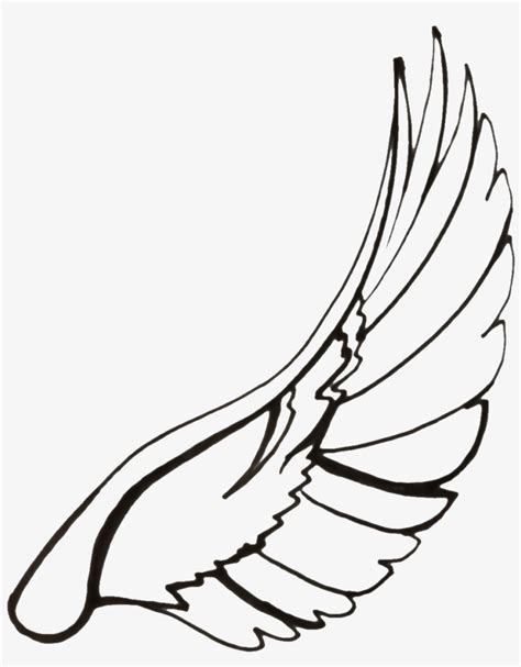 Dove Wings At Getdrawings Com Free For - Wings Drawing Transparent PNG - 1059x1281 - Free ...