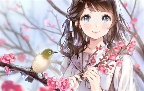 Wallpaper look, anime, Sakura, girl, bird, white-eyed for mobile and ...