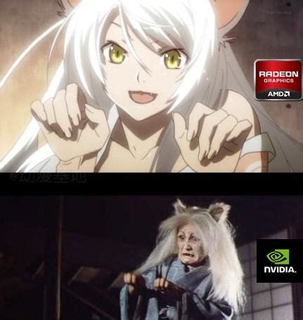 Nvidia vs AMD | Know Your Meme