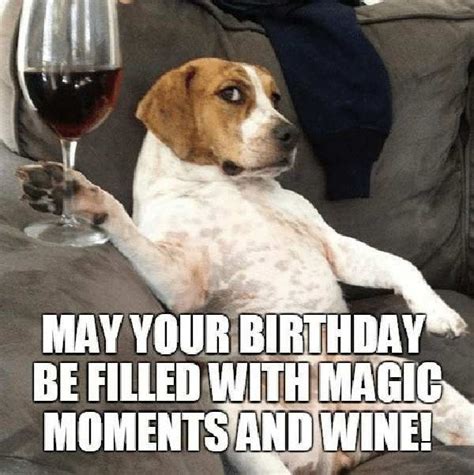 30 happy birthday wine memes to help you celebrate – Artofit