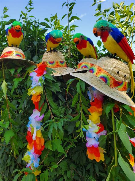 JIMMY BUFFETT MARGARITAVILLE Parrot Head Hat - Etsy