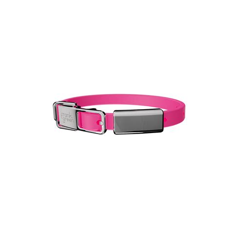 Cat Collar + Name Tag – frank green NZ