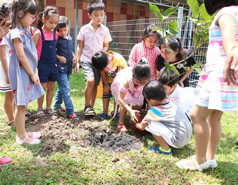 Students planting trees in celebration of International Children's Day 01.06 - Singapore ...