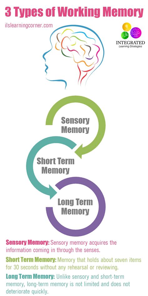 Types of Memory: Working Memory Tied to Your Child's Intelligence - Integrated Learning Strategies