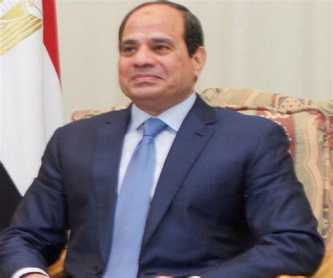 Abdel Fattah El-Sisi Biography - Facts, Childhood, Family Life ...