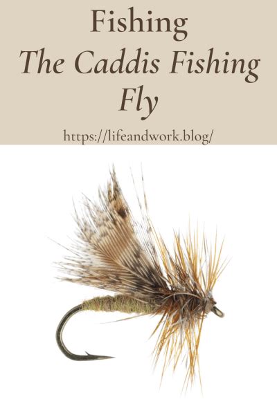 The Caddis Fishing Fly