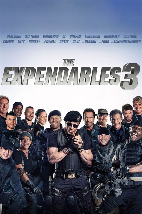 Arnold Schwarzenegger Expendables 3 Poster