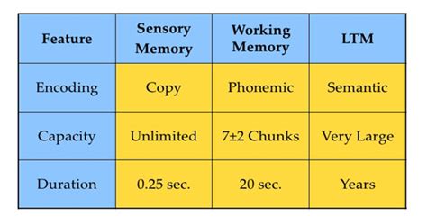 Long Term Memory Types Duration And Capacity - Riset