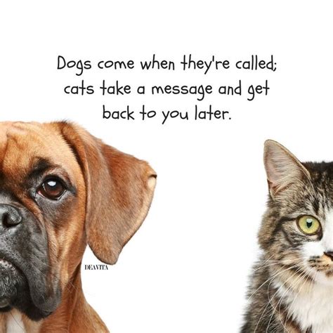 the best funny quotes about pets Dogs and cats #cats #dogs #funny #pets ...