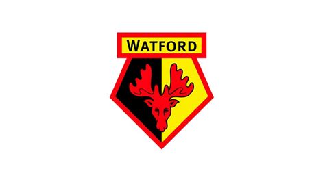 Watford Logo / The Logo Breakdown Watford Fc Design By Alva - Watford ...