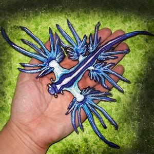 HUGE Blue Dragon Sea Slug Nudibranch Glaucus Atlanticus Iron on Patch - Etsy