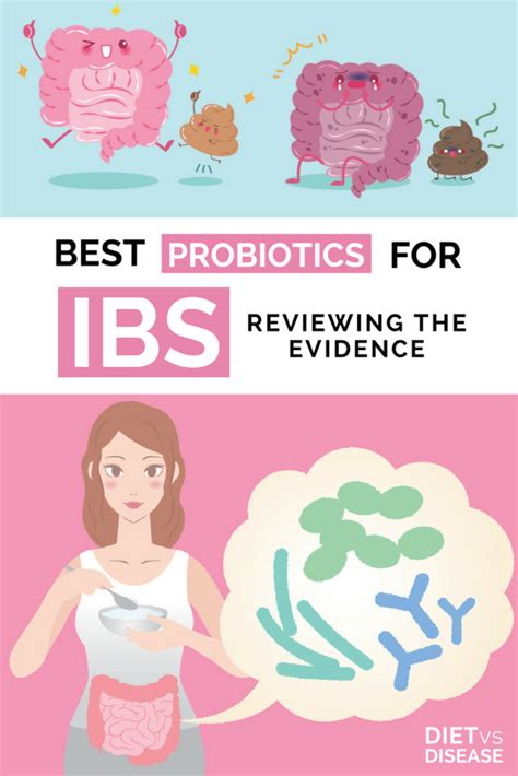 Best Probiotics For Irritable Bowel Syndrome (IBS) Explained | Diet vs ...