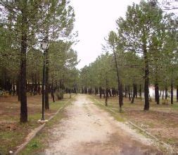 Camping Riopar - Camping en Riópar - Albacete