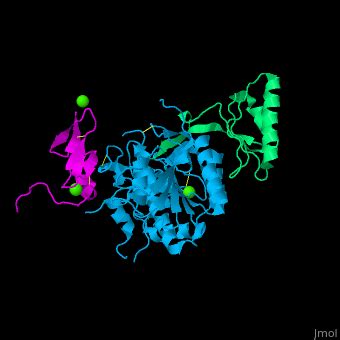 PCSK9 - Proteopedia, life in 3D