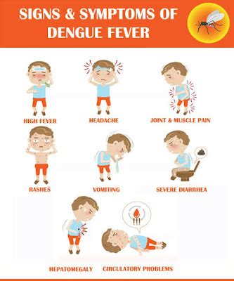 Signs and Symptoms of Dengue Fever