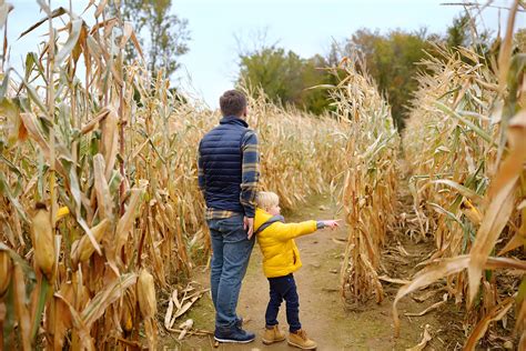 Cider & Corn Mazes: Fall Festivals to Enjoy | Maine Real Estate Blog