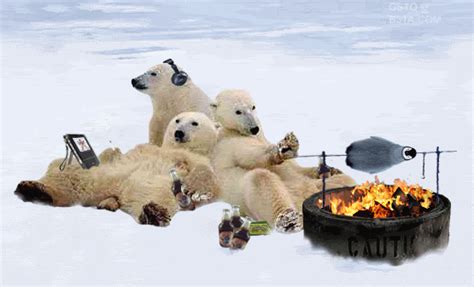 Barbecue Humor | Polar bear, Funny bears, Bear