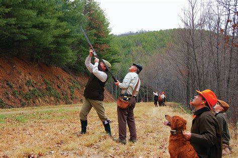 Pheasants of Primland | Shooting Sportsman