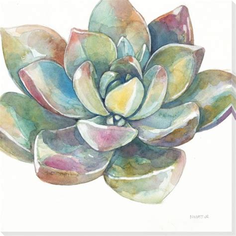 Colorful Succulent Flower 2 Wrapped Canvas Giclee Print Wall Art - Wall Decor - Artwork