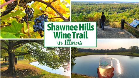 The Best Southern Illinois Wineries on the Shawnee Wine Trail – Dang Travelers