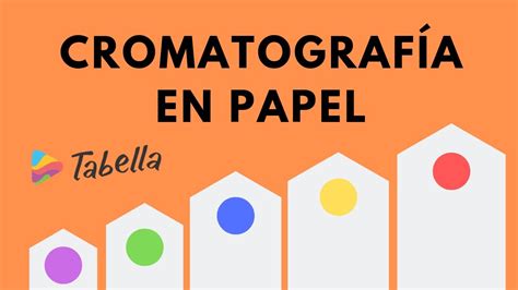 diámetro cultura gancho cromatografia en papel Deliberar estómago Afirmar