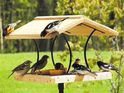 Large Platform Bird Feeder