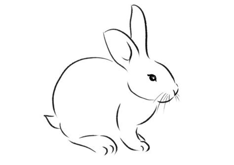 Rabbit Drawing Images – Browse 1,055,265 Stock Photos, Vectors, and Video | Adobe Stock