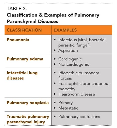 Approach to Respiratory Distress in Dogs & Cats | Today's Veterinary ...