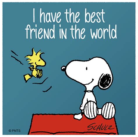 Pin by Cathryn Huser on Me and My Best Friend | Snoopy cartoon, Snoopy funny, Peanuts charlie ...