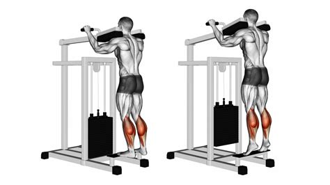 Standing Calf Raise Machine: How To Use, Benefits and Muscles Worked