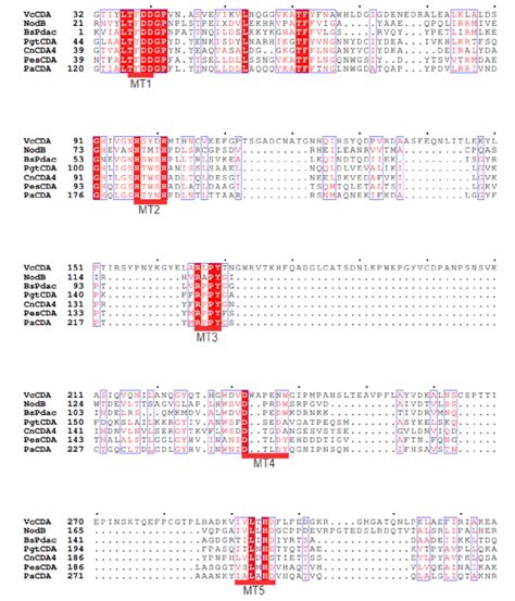 Multiple sequence alignment generated by ClustalW using the sequences... | Download Scientific ...