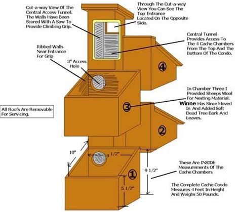 build a squirrel house - entobjects