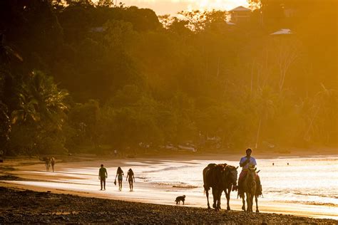 Osa Peninsula, Costa Rica | The Best Eco Lodge + Full Trip Itinerary