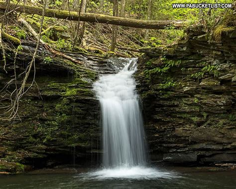 Cottonwood Falls near Worlds End State Park. | State parks, Waterfall, Cottonwood falls