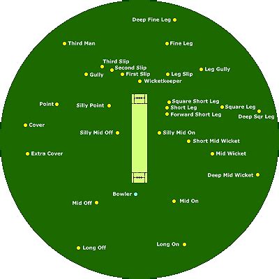 Cricket Fielding Positions and Pitch Layout | Cricket, Typing tutorial, Cricket sport