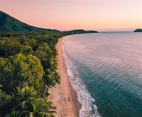 Palm Cove - My Queensland