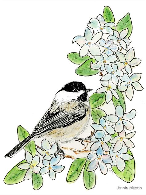 "Massachusetts State Bird and Flower" Poster for Sale by anniem49 ...