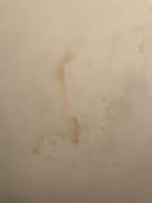 stain - Staining on internal wall - Home Improvement Stack Exchange