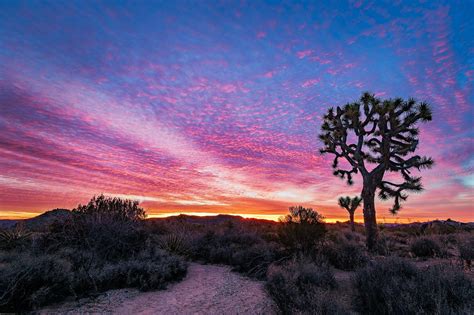 Purple Desert Sunrise Wallpapers - Top Free Purple Desert Sunrise ...