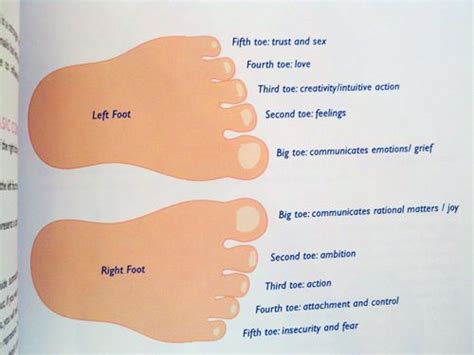 Reading the toes-chart