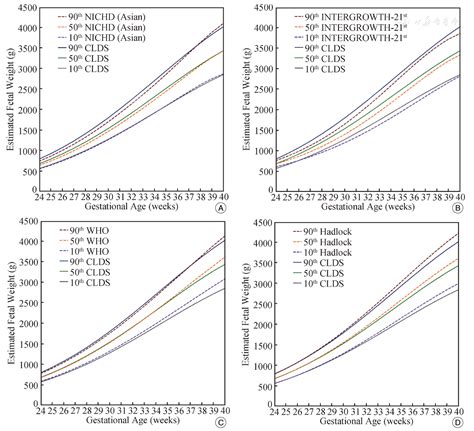 Fetal Growth Chart