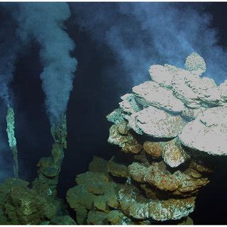 Photograph of deep-sea hydrothermal vent mineral deposits from the... | Download Scientific Diagram