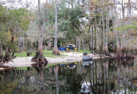 Legendary Fisheating Creek kayaking lives up to hype