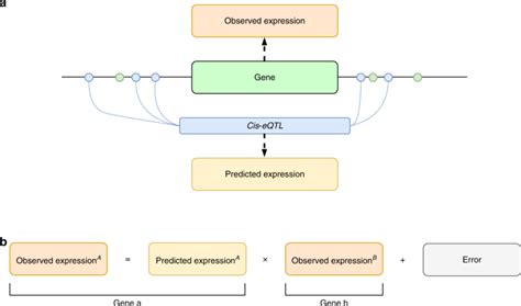 Using regulatory variants to detect gene–gene interactions identifies networks of genes linked ...