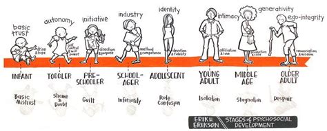 Stages of psychosocial development, Developmental psychology, Erickson stages of development