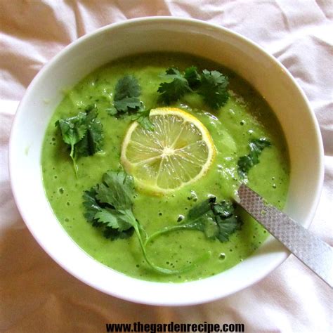 Avocado Soup I The Garden Recipe I - THE GARDEN RECIPE